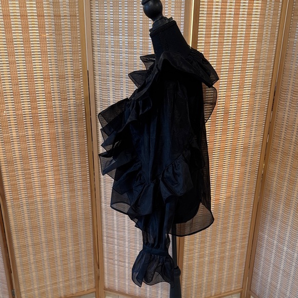 H&M Sheer Black Ruffled Blouse - Picture 5 of 9